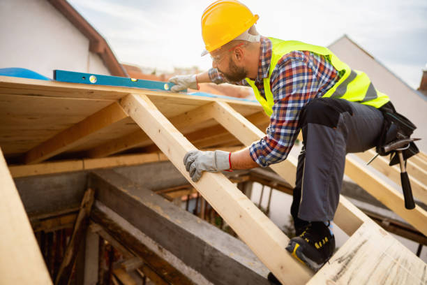 Best Roof Gutter Cleaning  in Santa Fe, TX