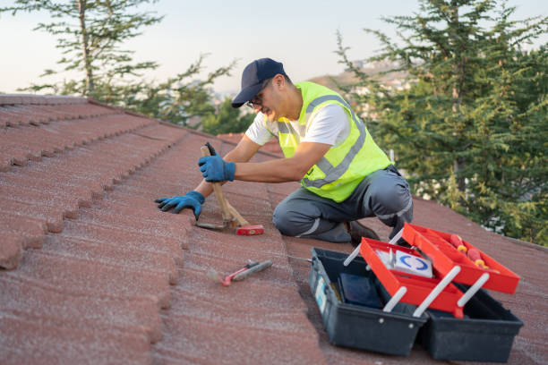 Best Roof Maintenance Services  in Santa Fe, TX